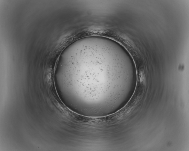 X0000091241396200708161727