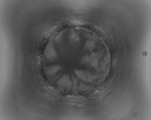 X0000091241397200708161727