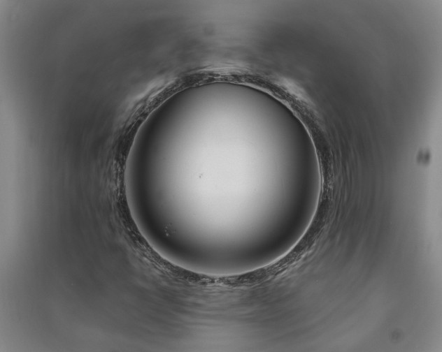 X0000091241398200708161727