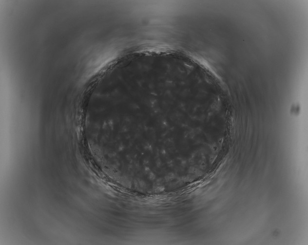 X0000091241399200708161727