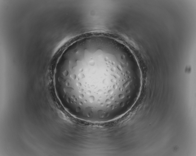 X0000091241400200708161727