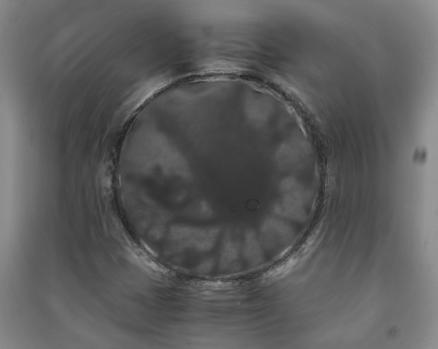 X0000091241401200708161727