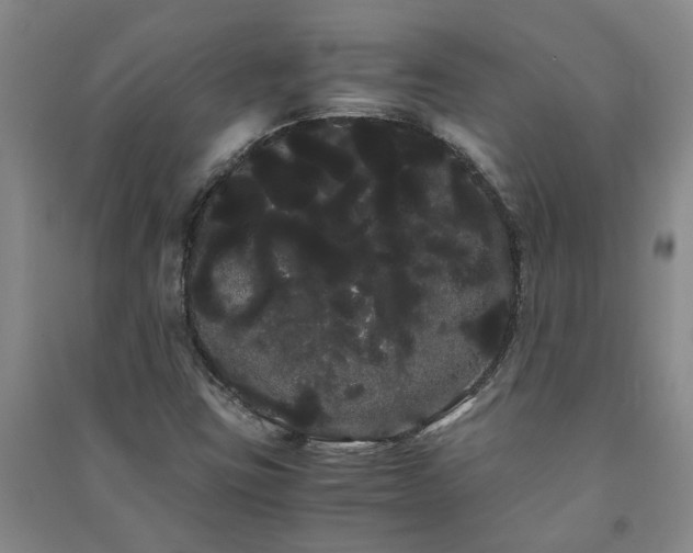 X0000091241403200708161727