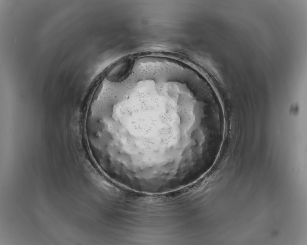 X0000091241404200708161727