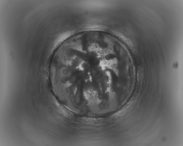 X0000091241405200708161727
