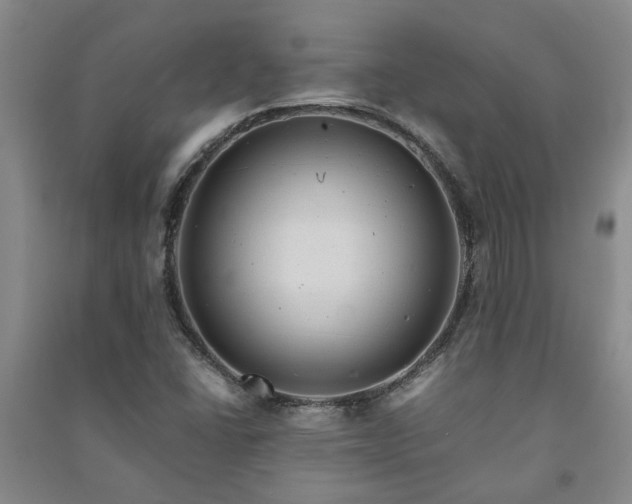 X0000091241406200708161727