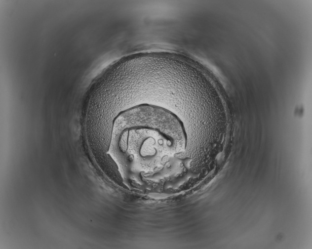 X0000091241407200708161727