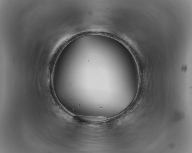 X0000091241408200708161727