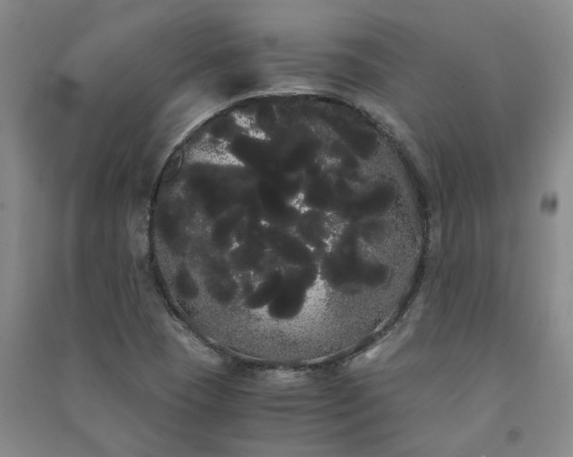 X0000091241409200708161727