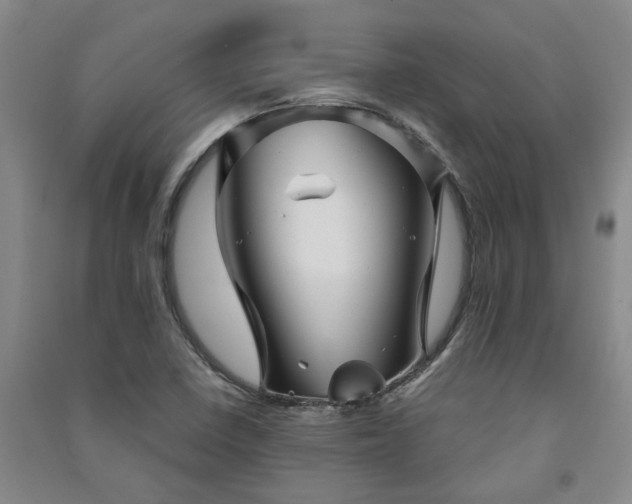 X0000091241410200708161727