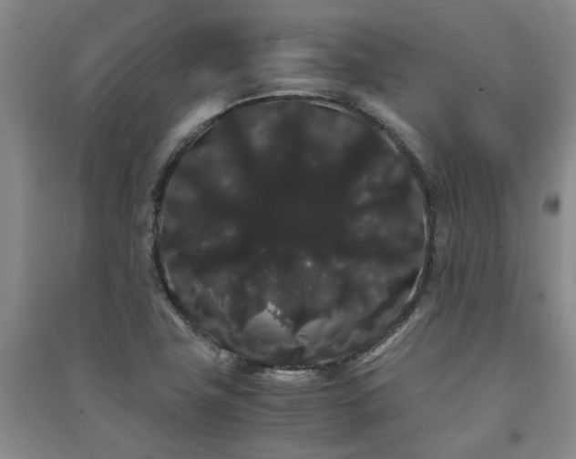 X0000091241411200708161727