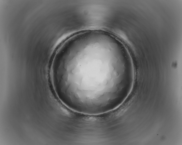 X0000091241412200708161727