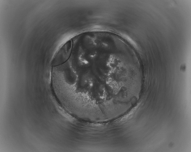 X0000091241413200708161727