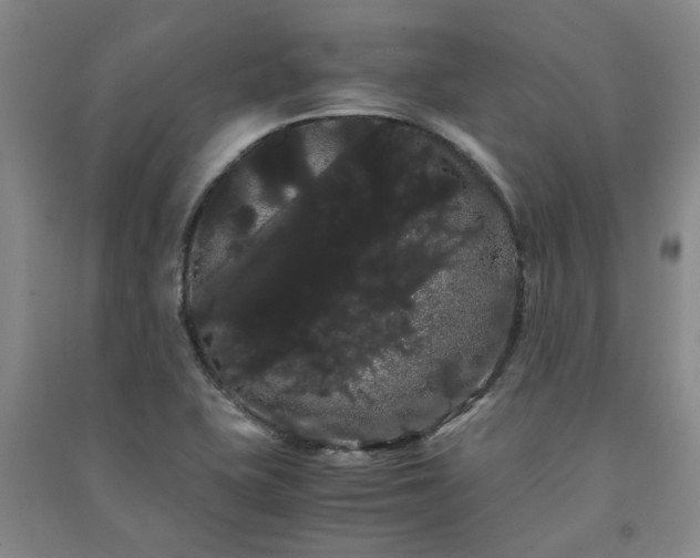 X0000091241415200708161727