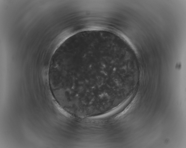 X0000091241417200708161727