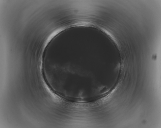 X0000091241418200708161727