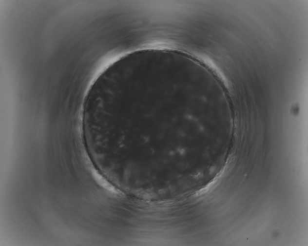 X0000091241421200708161727