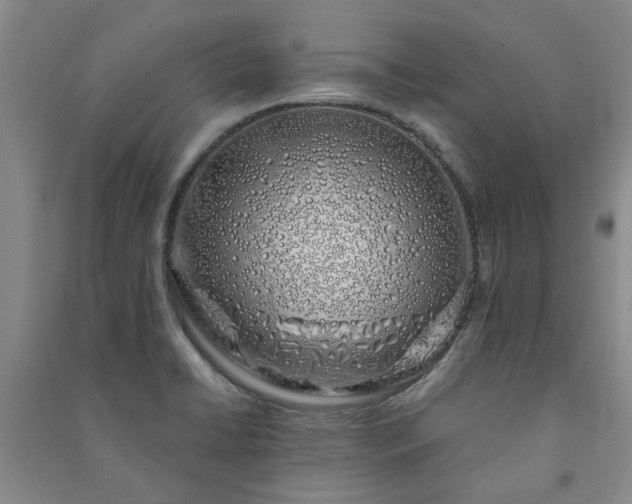 X0000091241422200708161727