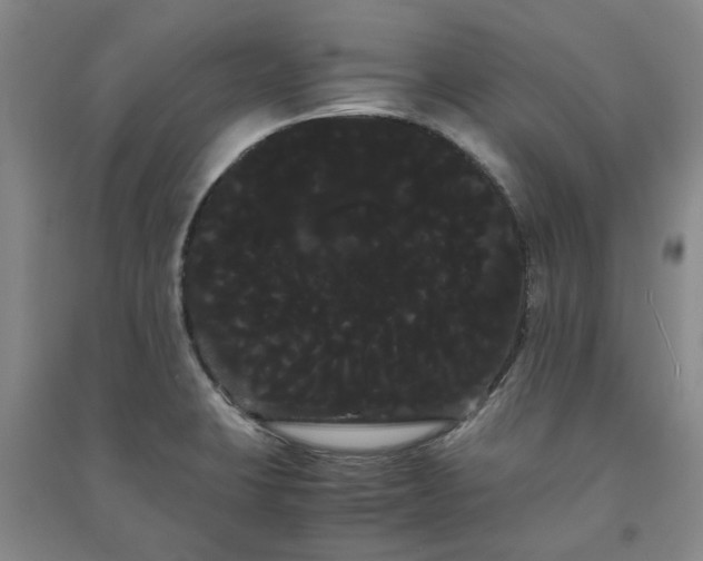 X0000091241423200708161727