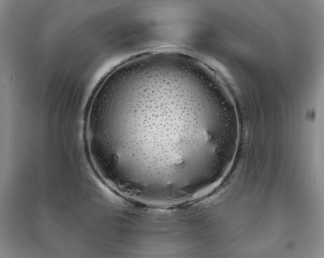 X0000091241424200708161727
