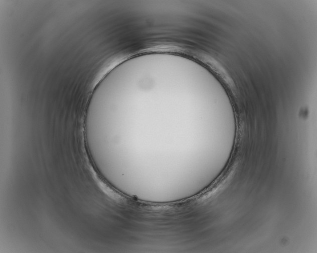 X0000091241425200708161727