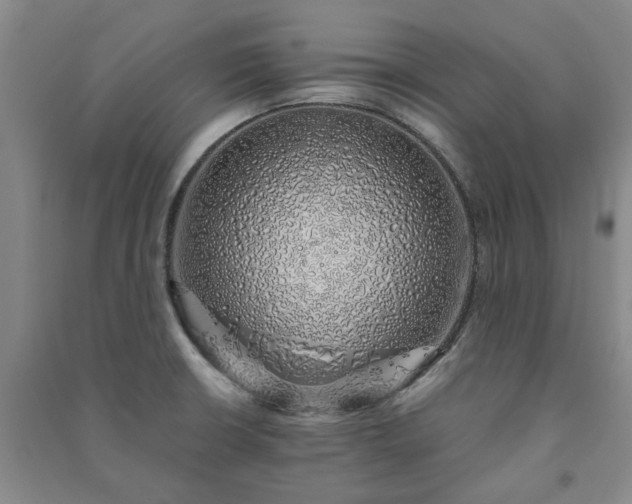 X0000091241426200708161727