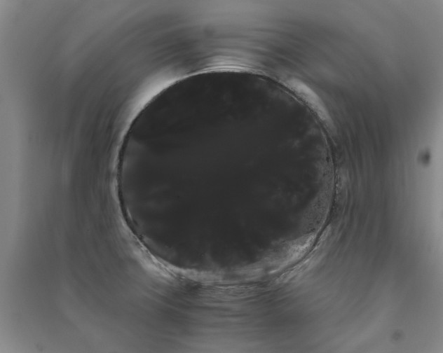 X0000091241427200708161727