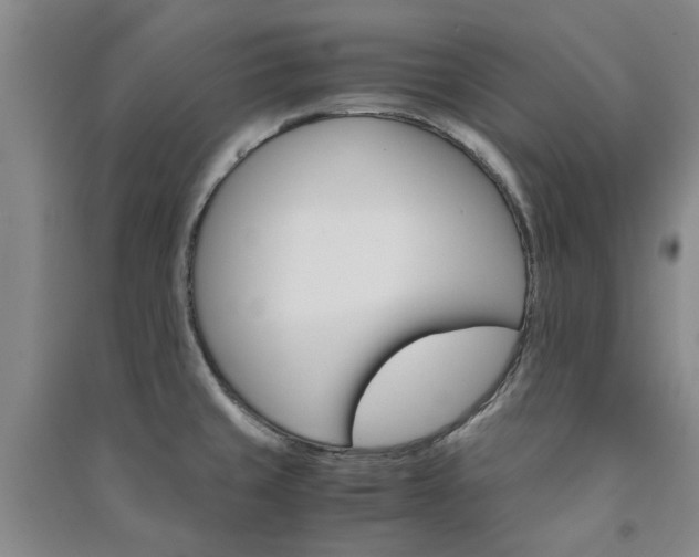 X0000091241429200708161727