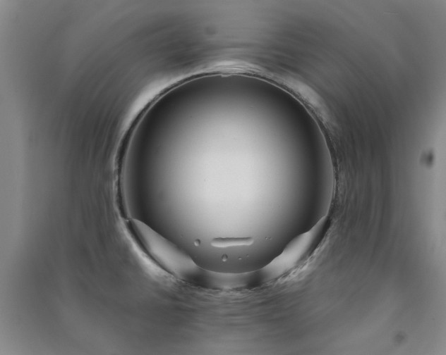 X0000091241430200708161727