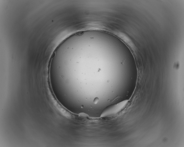 X0000091241431200708161727
