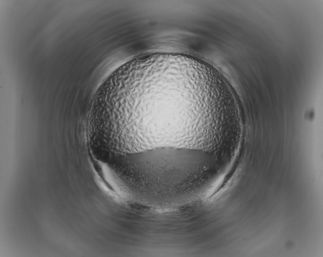 X0000091241433200708161727