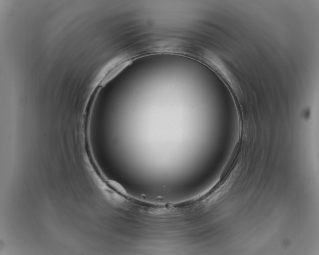 X0000091241434200708161727