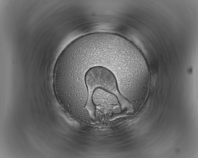 X0000091241435200708161727