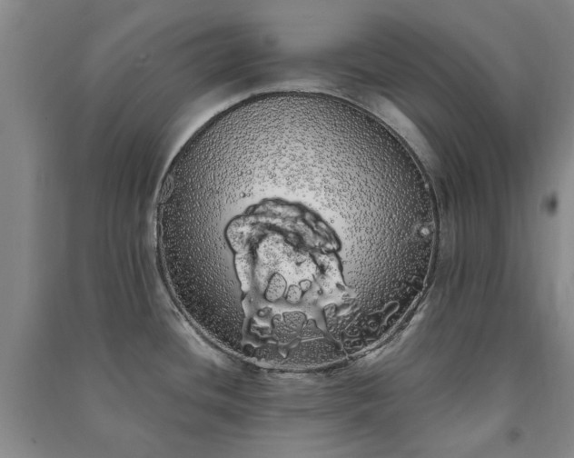 X0000091241436200708161727