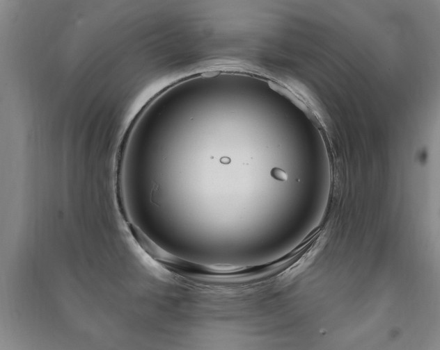 X0000091241438200708161727