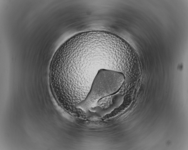 X0000091241439200708161727
