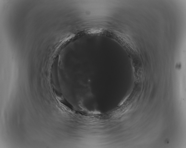 X0000091241441200708161727