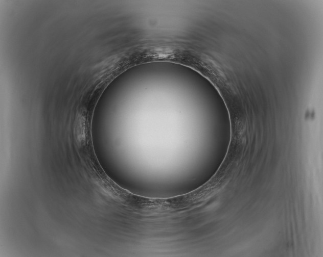 X0000091241442200708161727