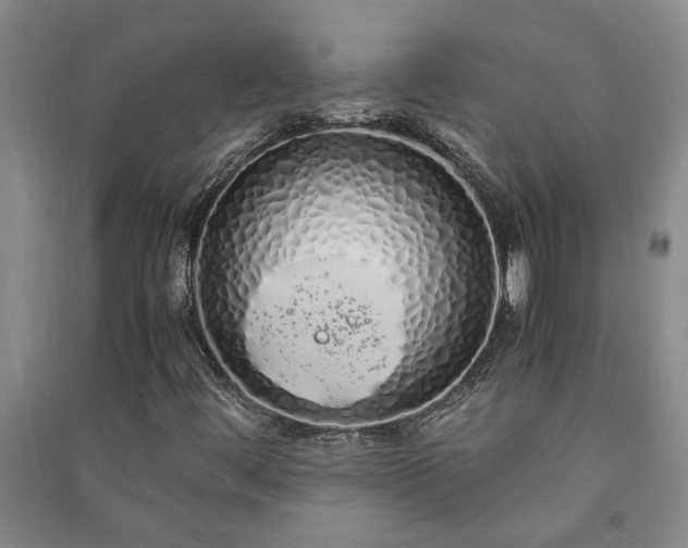 X0000091241444200708161727