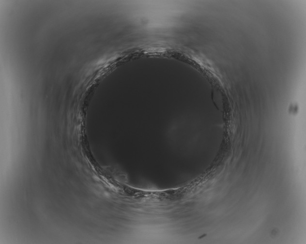X0000091241445200708161727