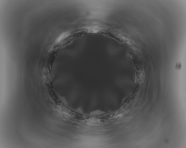 X0000091241446200708161727
