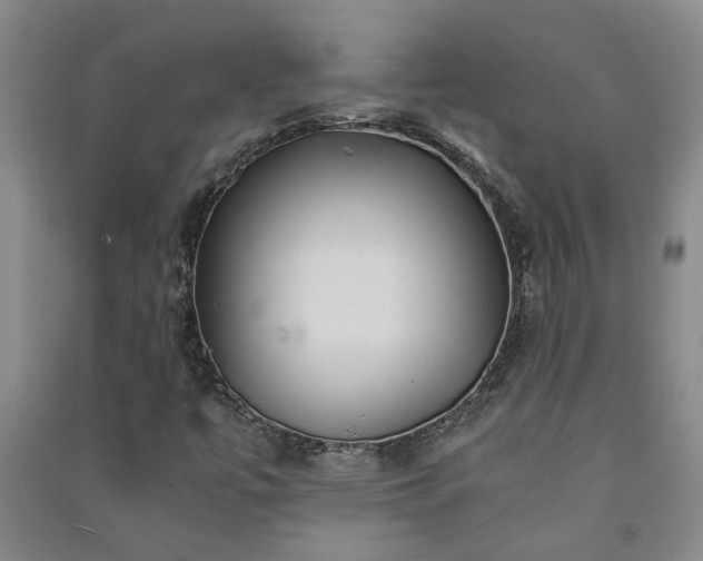 X0000091241447200708161727