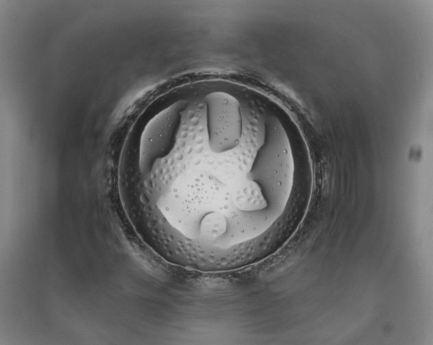 X0000091241448200708161727