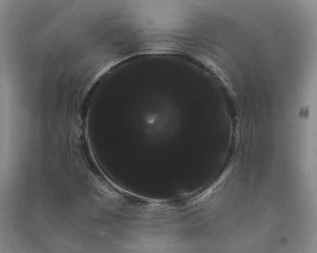 X0000091241449200708161727