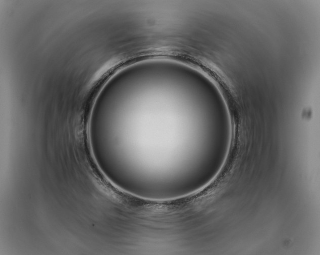 X0000091241450200708161727