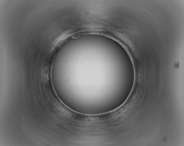 X0000091241451200708161727