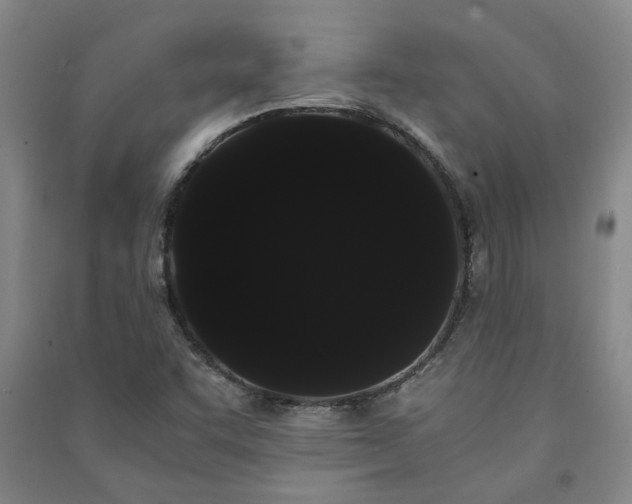 X0000091241455200708161727