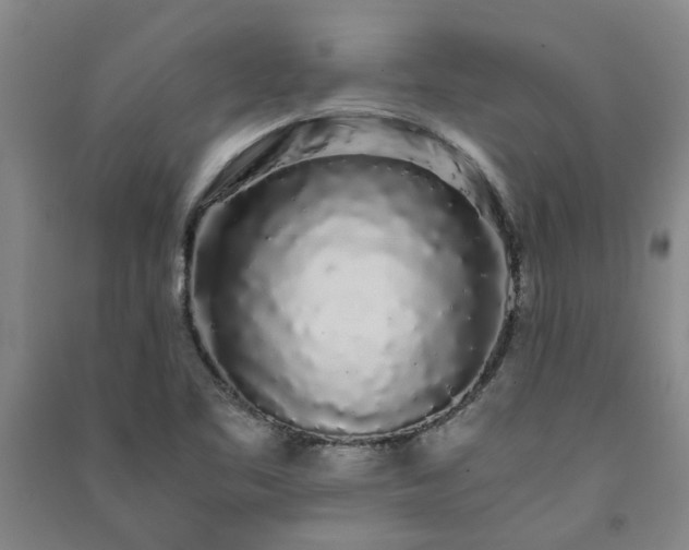X0000091241461200708161726