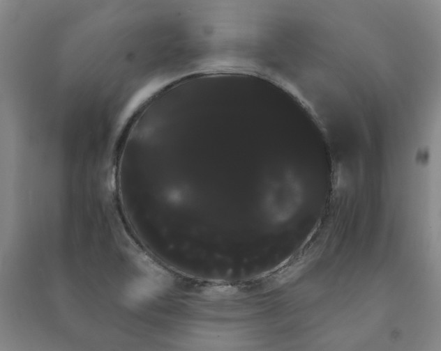 X0000091241462200708161726