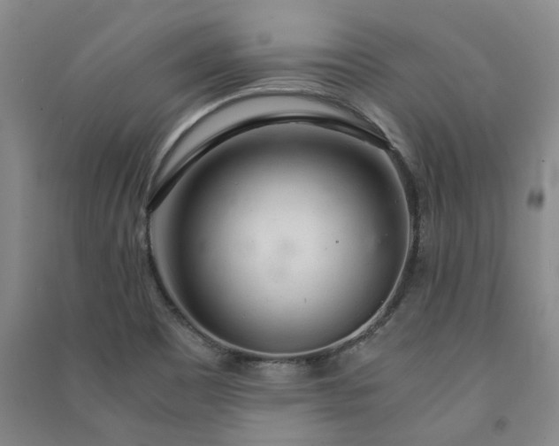 X0000091241465200708161726